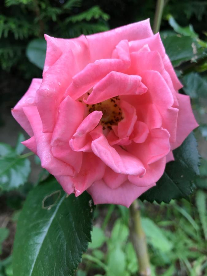 Gite De L'Homme Blanc Soizy-aux-Bois 외부 사진